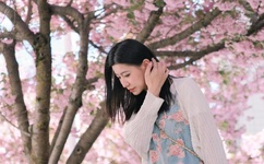 青青草在免费线观曰本